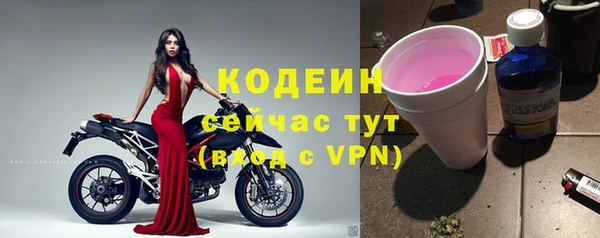 мдпв Волоколамск