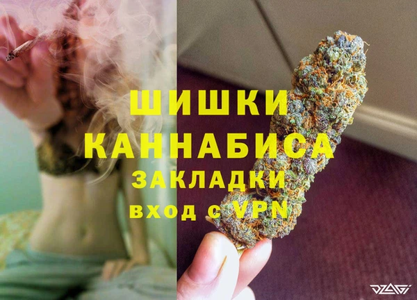 прущие грибы Верея