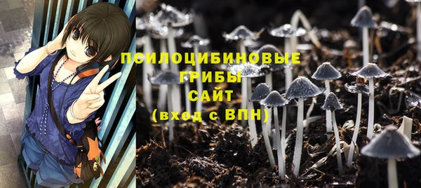 сатива Володарск