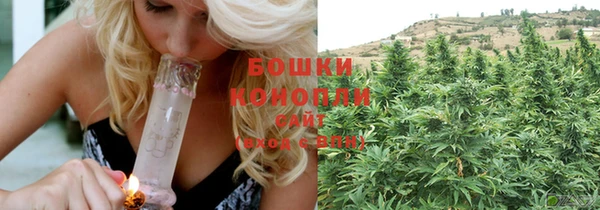 сатива Володарск