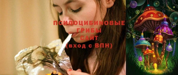 сатива Володарск