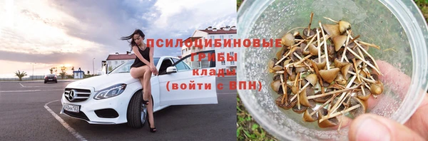 сатива Володарск