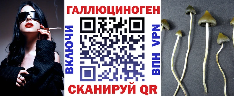 shop клад  Донской  Галлюциногенные грибы Cubensis 
